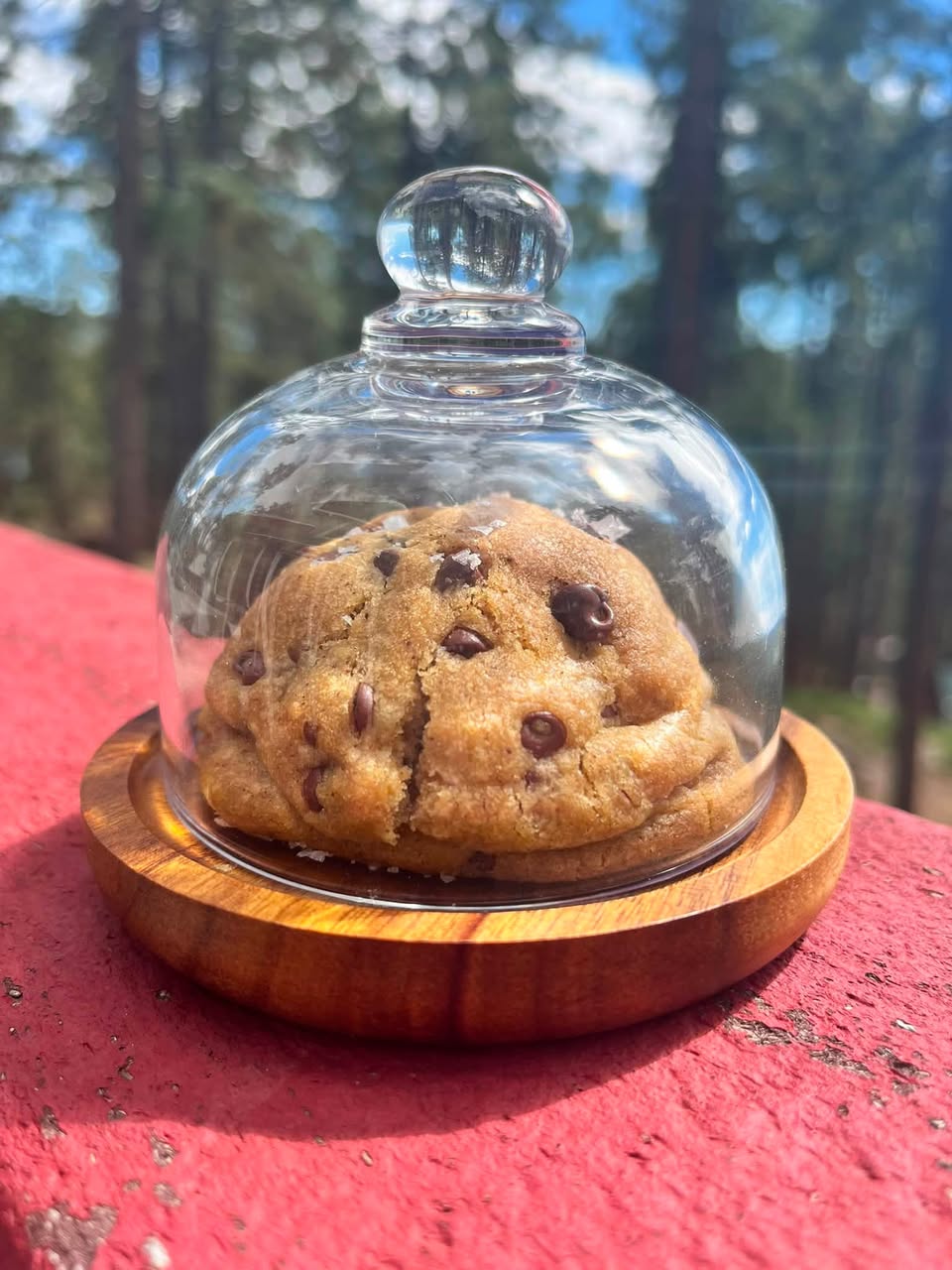 Jess’s Brown Butter Chocolate Chip cookie under a glass cloche